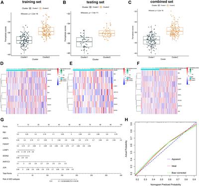 Identification of Ferroptosis-Related Molecular Clusters and Immune Characterization in Autism Spectrum Disorder